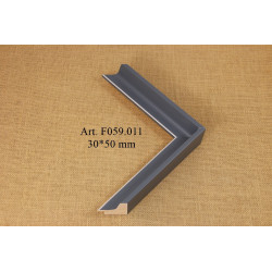 Medinis profilis F059.011