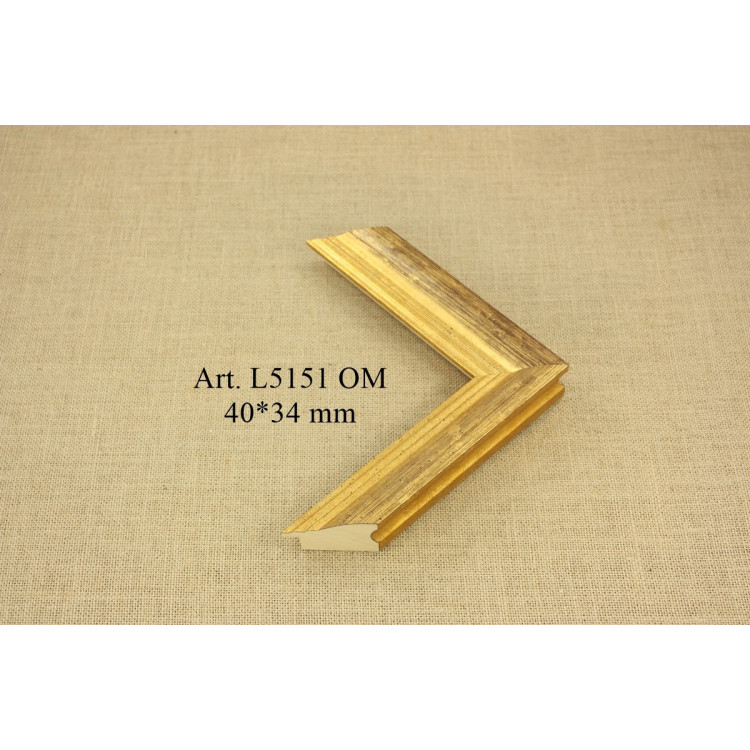 2770030199392 L5151 OM