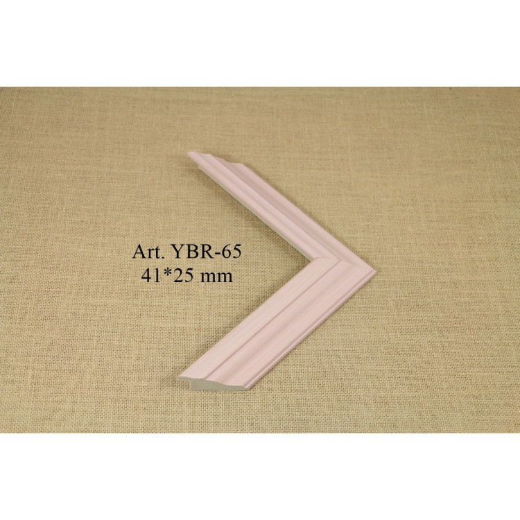 Plastic Moulding YBR-65