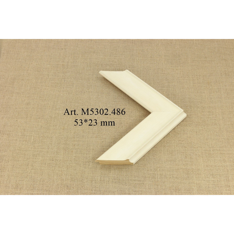 Medinis profilis Disc M5302.486