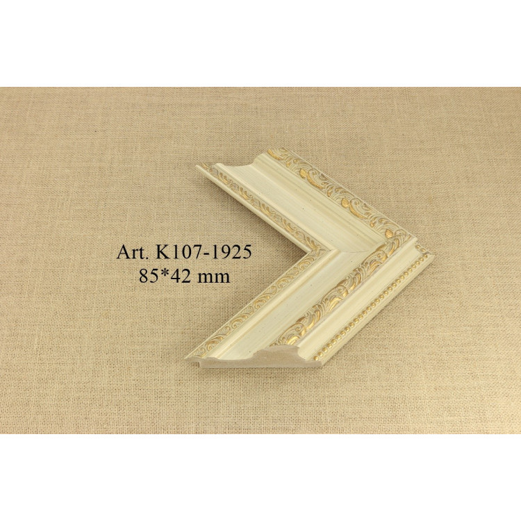 Plastic Moulding K107-1925