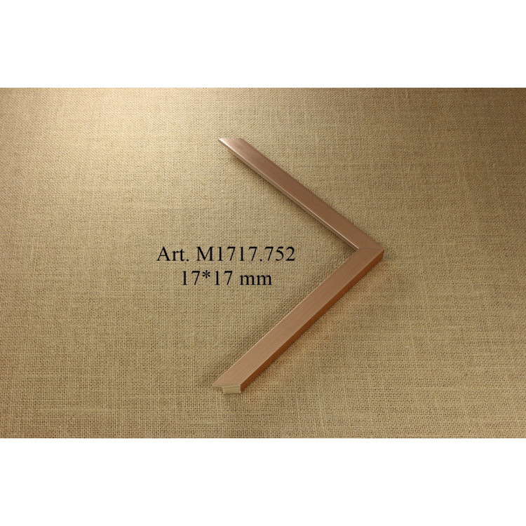 Medinis profilis Disc M1717.752