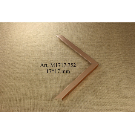 Medinis profilis Disc M1717.752