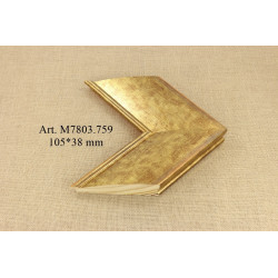 Medinis profilis Disc M7803.759