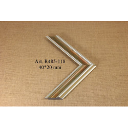 Plastic Moulding R485-118