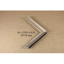 Plastic profile 6769-A-81G