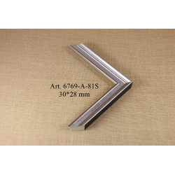 Plastic profile 6769-A-81S