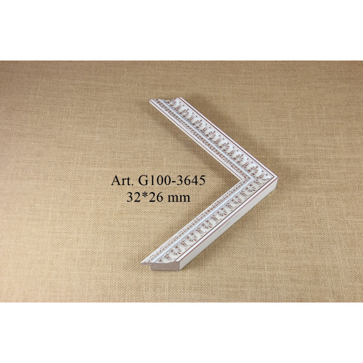 Plastic profile G100-3645