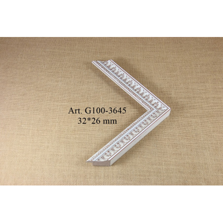 Plastic profile G100-3645