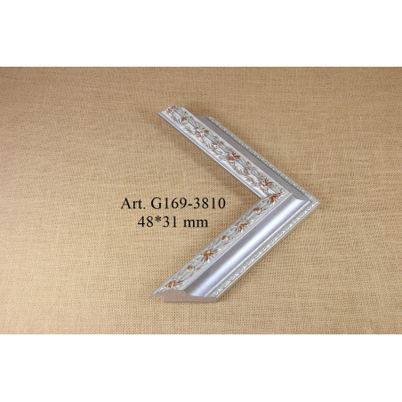 Plastic profile G169-3810