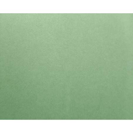 Паспарту 8035