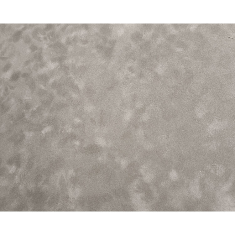 Паспарту 250.809