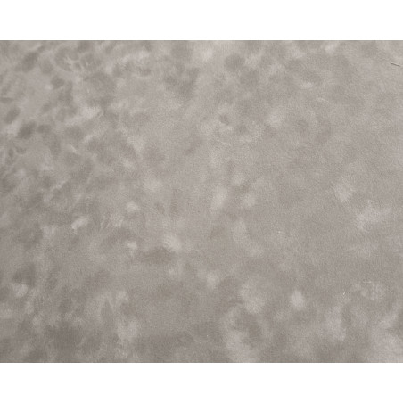 Паспарту 250.809