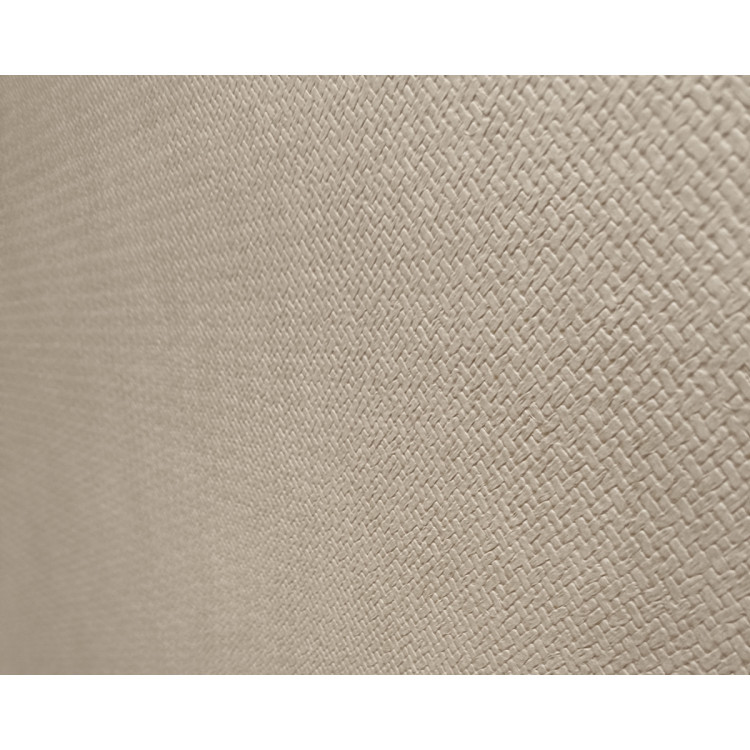 Паспарту 250.RA15