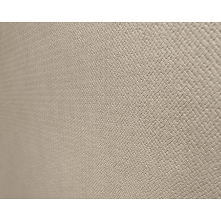 Паспарту 250.RA15