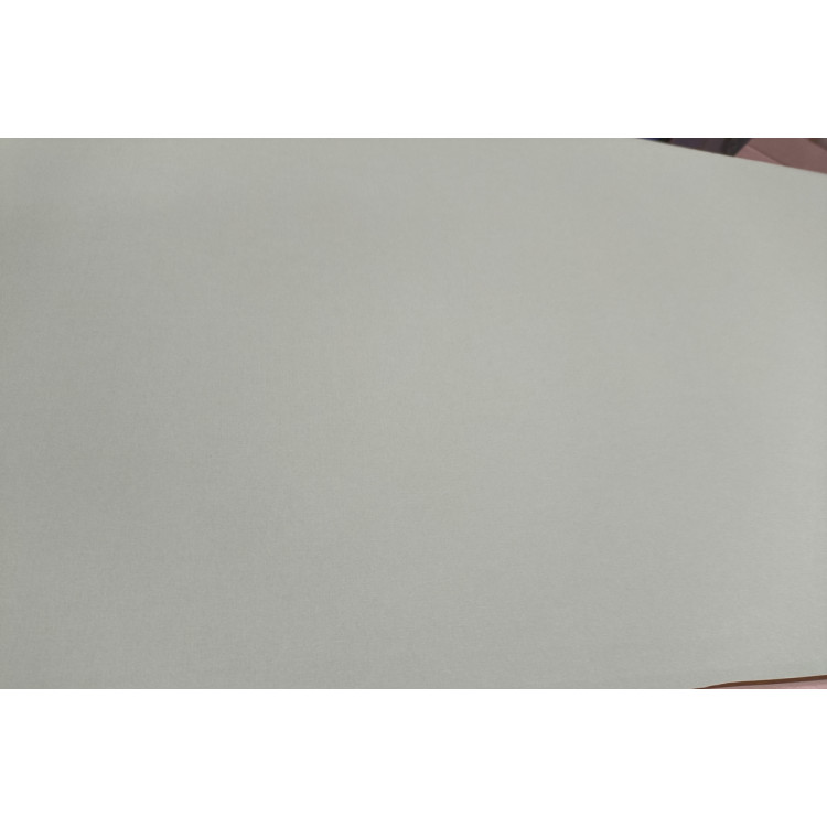 Паспарту Moorman 2739