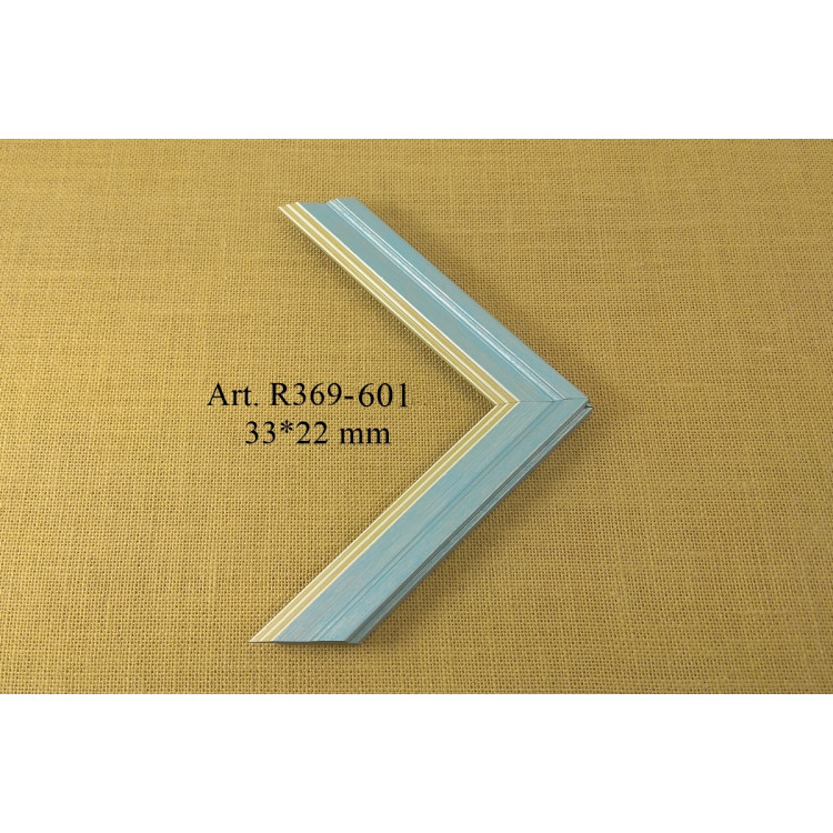 Plastic profile R369-601