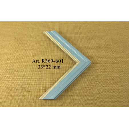 Plastic profile R369-601